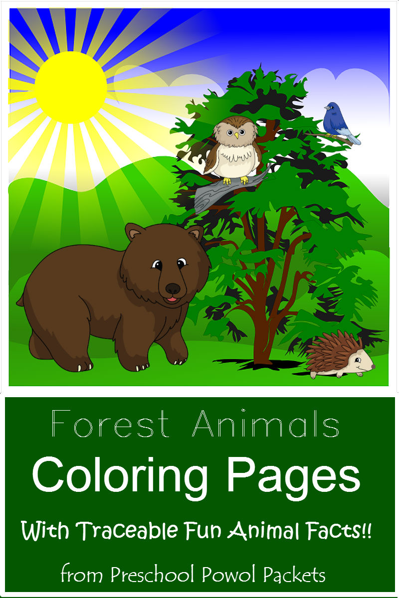 FREE} Forest Animals Coloring Pages with Traceable Fun Facts! | Preschool  Powol Packets