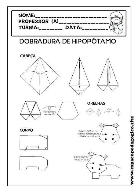 Hipopótamo desenho para pintar, colorir, imprimir-ESPAÇO EDUCAR