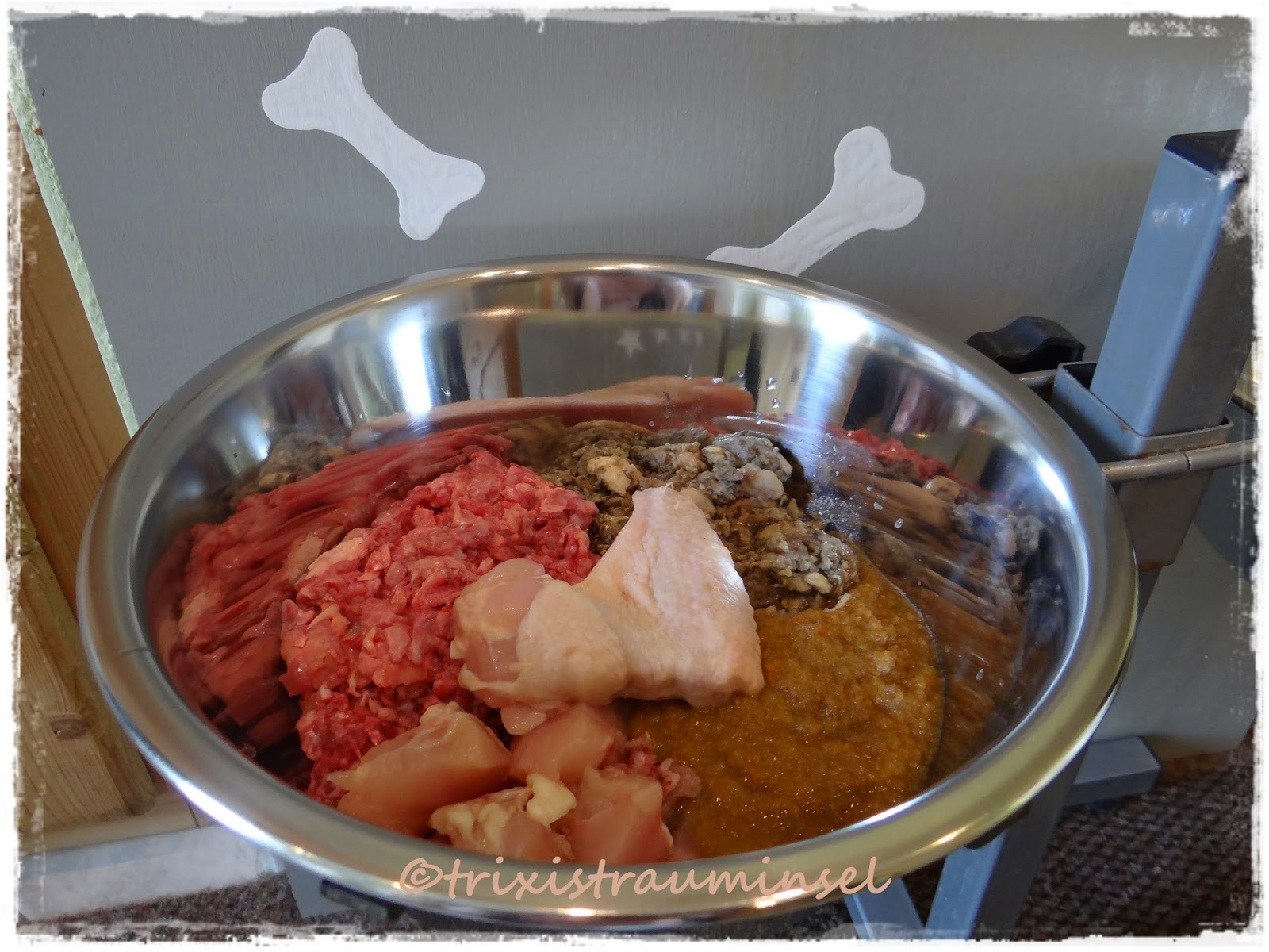 wandschutz_hund — Wenn der Hund lustlos ist