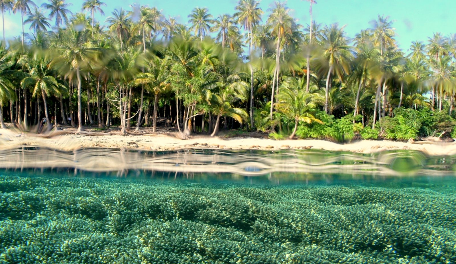 Hasil gambar untuk 2. Kepulauan Padaido di Papua