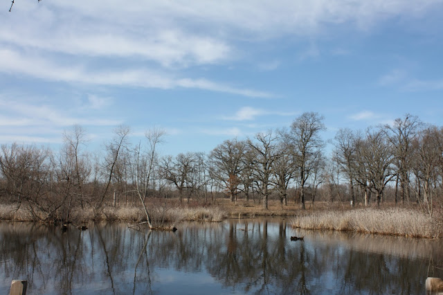 Lake at Crabtree Nature Center in Barrington Hills, IL at the end of winter