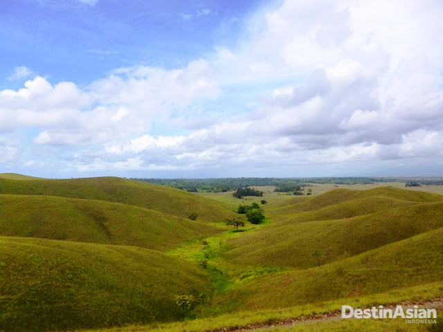 Rawa Aopa Watumohai; Taman Nasional Raksasa di Sulawesi