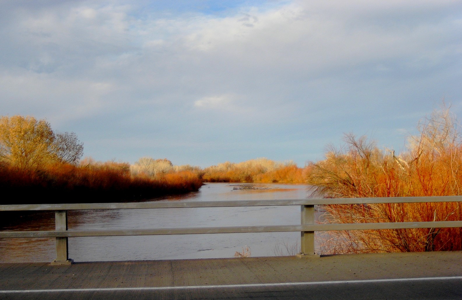 Living Rootless San Antonio, New Mexico The Rio Grande in Winter