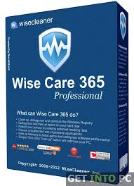 wise 365 cleaner