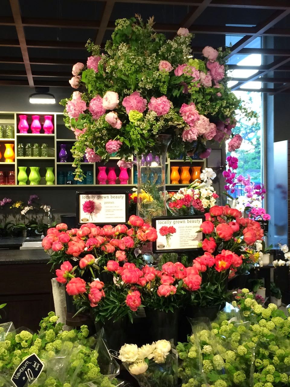 Pleasant Living METRO MARKET MADISON, WISCONSIN