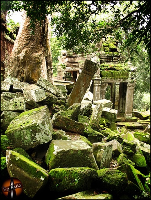 Ta-Prohm-Templos-de-Angkor_4