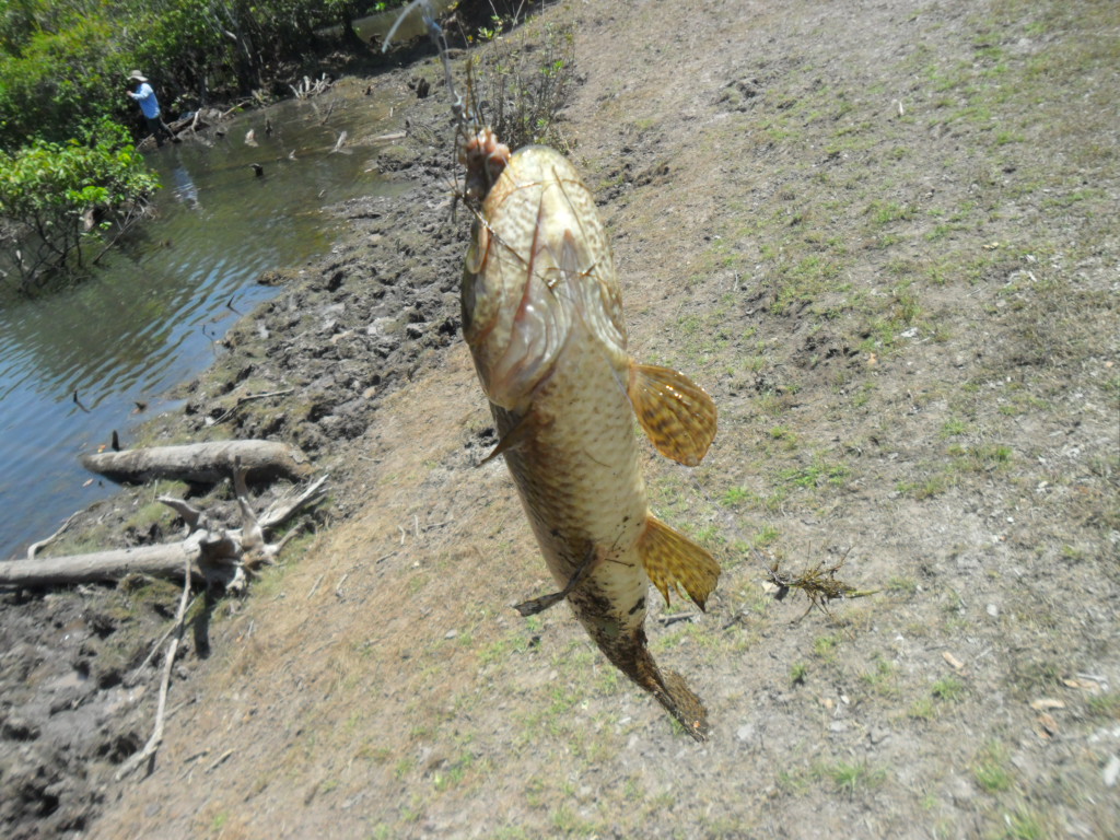 PESCA DEPORTIVA santa rosalia vichada