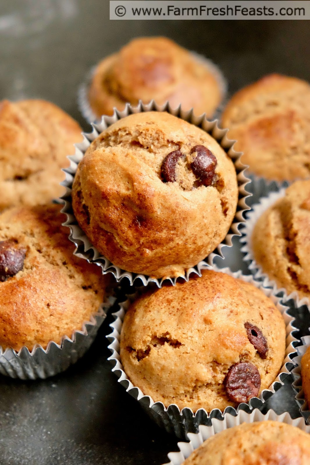 Farm Fresh Feasts: Healthy Tiramisu Muffins #MuffinMonday