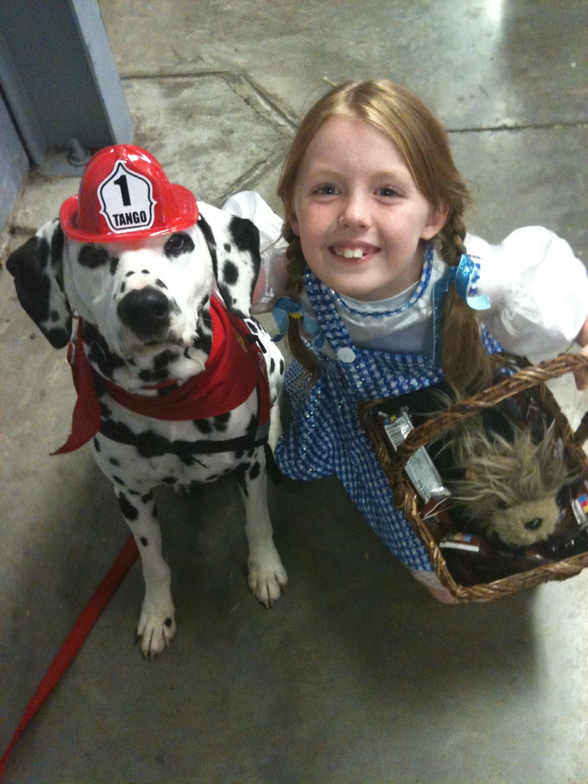 Sparkles the Fire Safety Dog Vote for Tango the Fire Safety Dog for