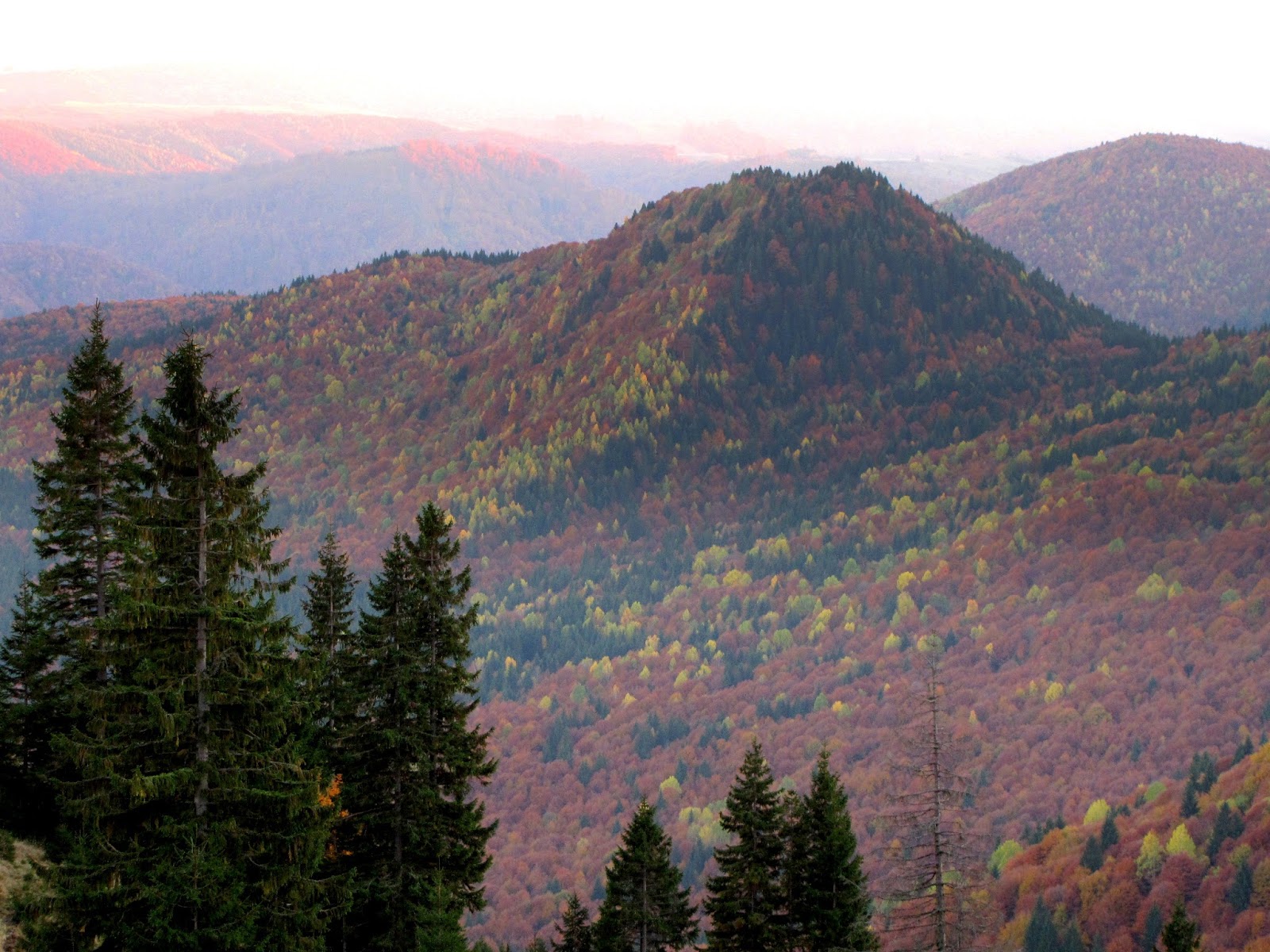 Hobby De Mamica Photo Responsabilitate Sociala Si Altele 