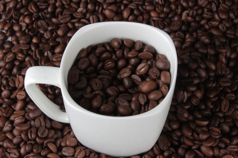 PROPOSAL USAHA BISNIS BUBUK KOPI proposal bisnis usaha