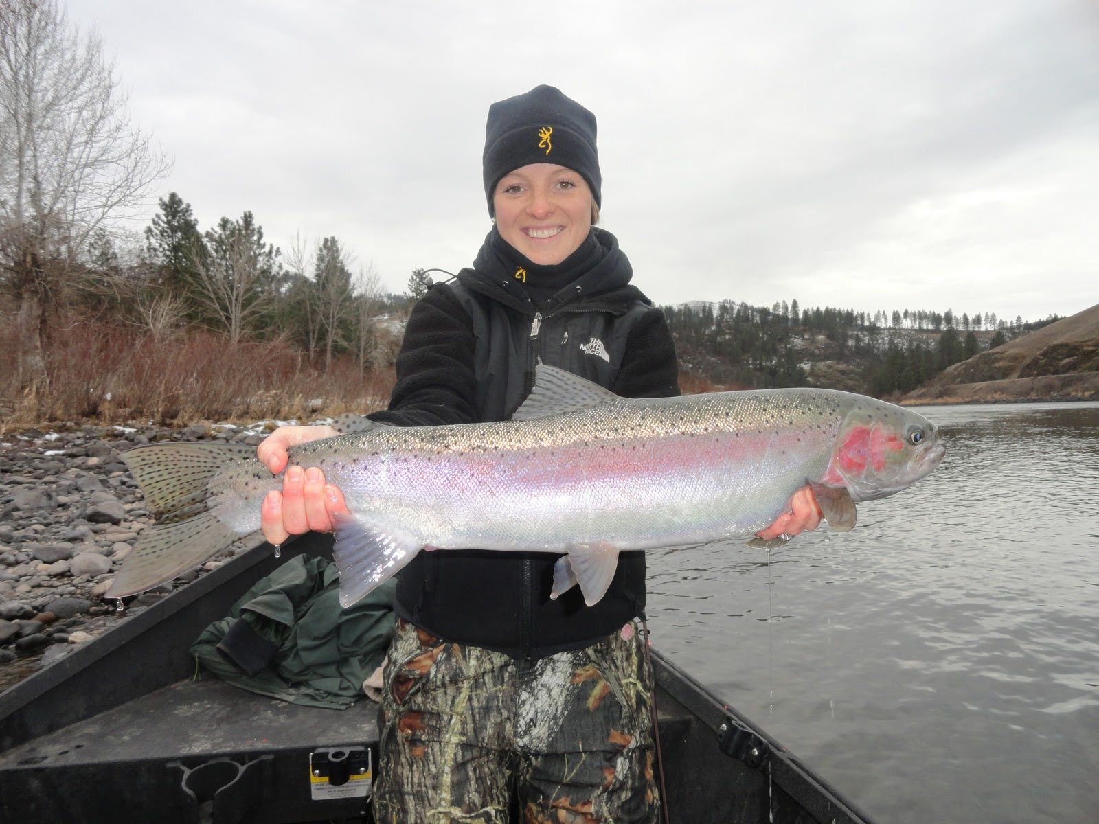 the-diary-of-a-clearwater-steelhead-addict-clearwater-river-steelhead