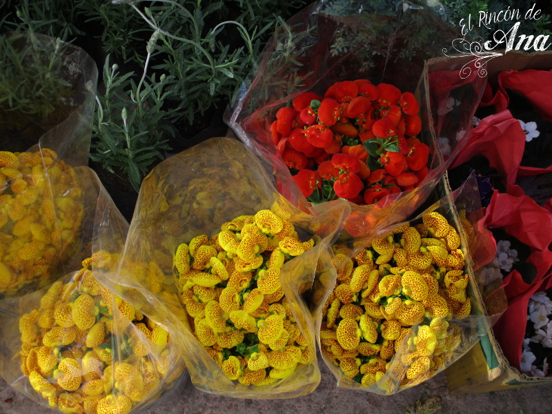 feria de la candelaria 2017