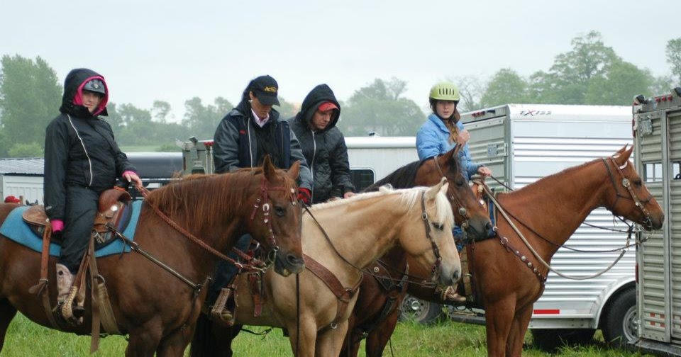 Foundation Reining Training Centre: Putting Trail Class Back Into Trail ...