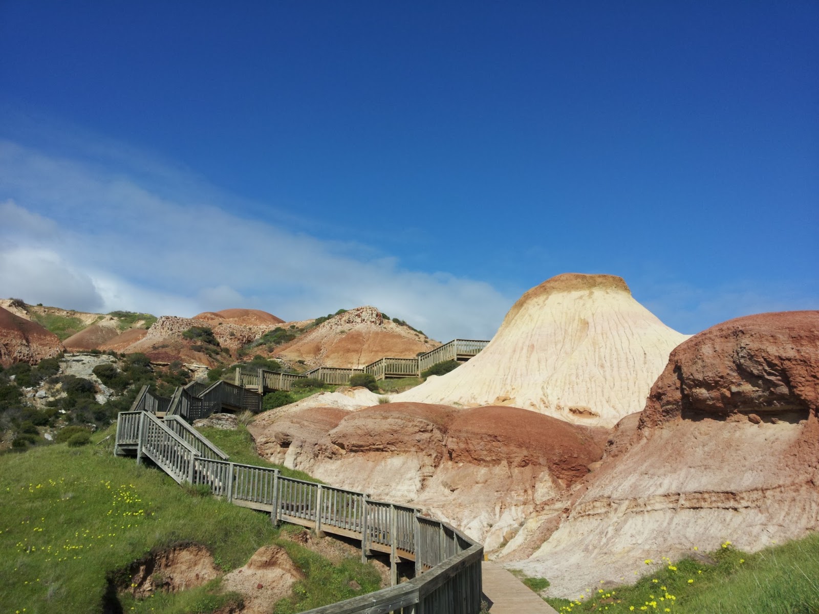 monique's mess Hallett Cove Conservation Park