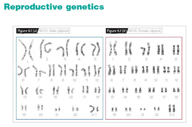 Reproductive Genetics, Chromosomes, Mitosis and meiosis, Non-disjunction, Imprinting