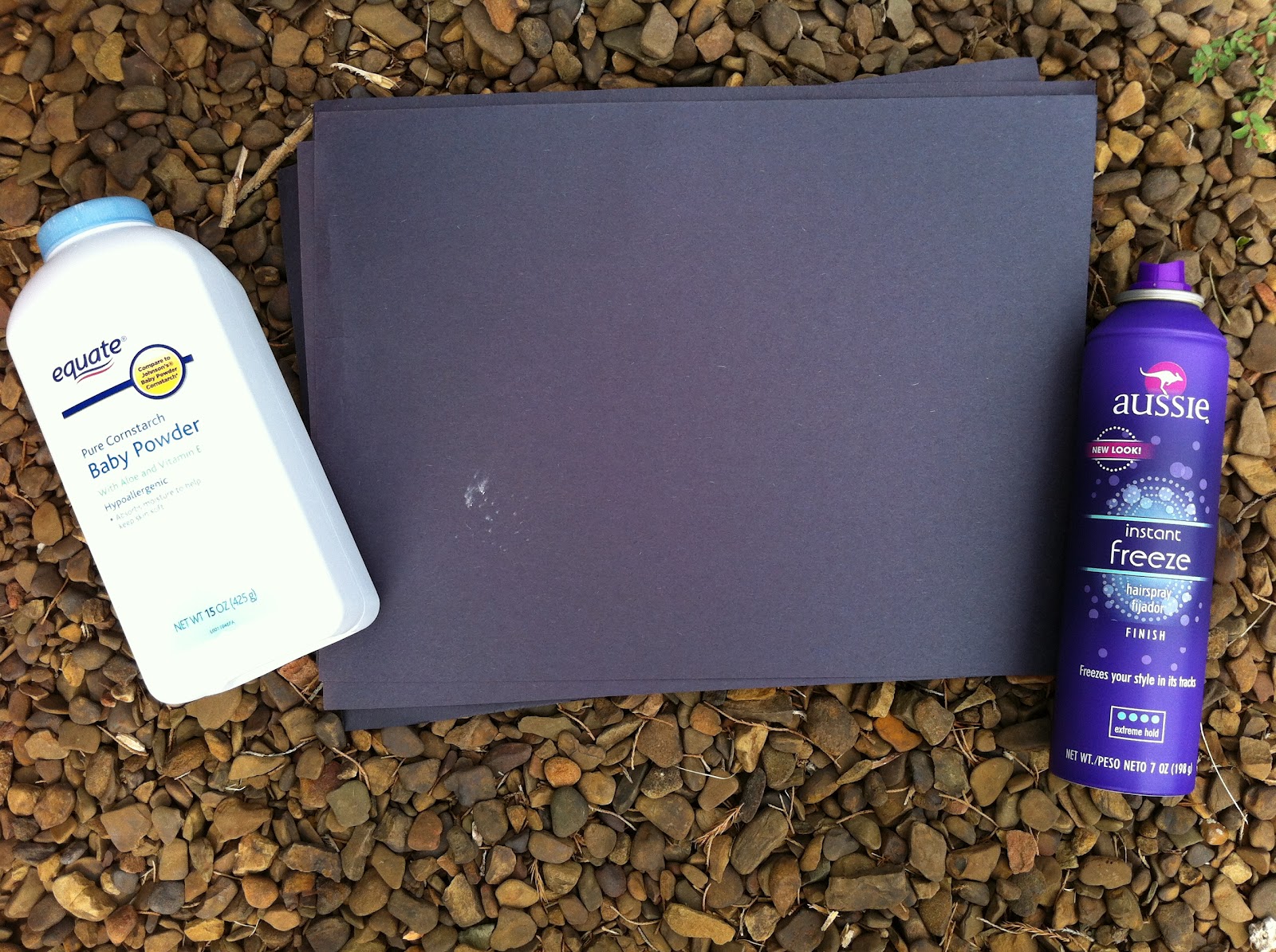 Play Create Explore How to Capture and Preserve a Spider 