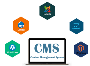 CMS Development