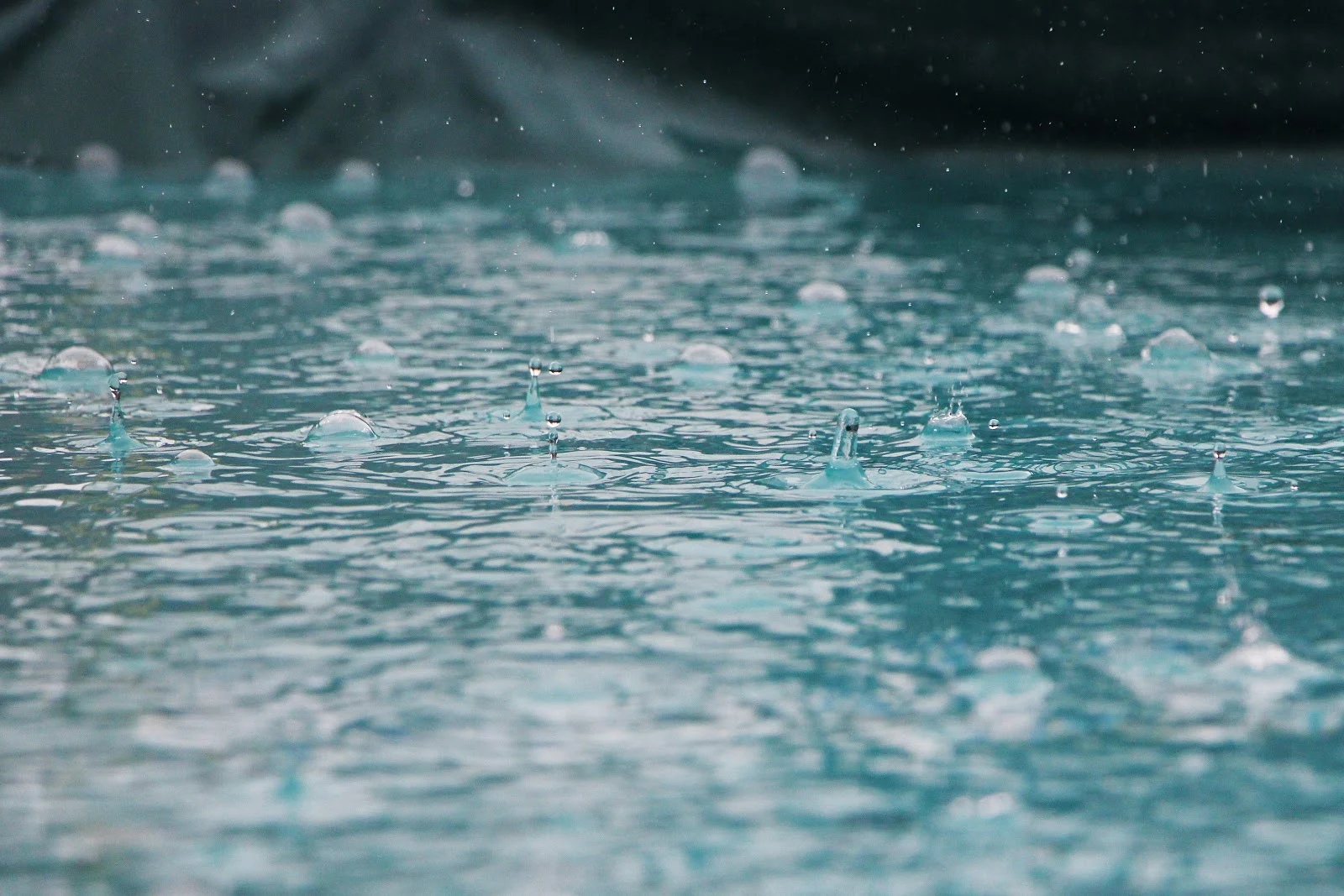 雨中の水面