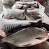 Sepror divulga tabela de preços de ração para peixes