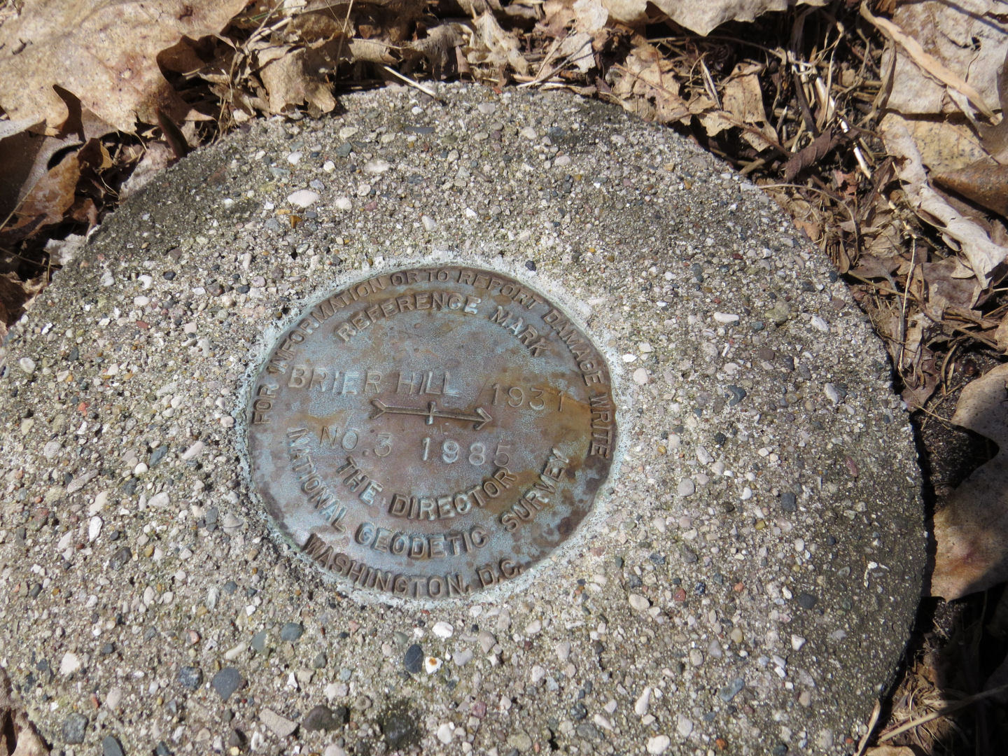 My Quality Day Briar Hill Highest Point in Michigan's Lower Peninsula