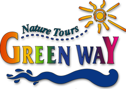 Greenwaytours Greenwaytours