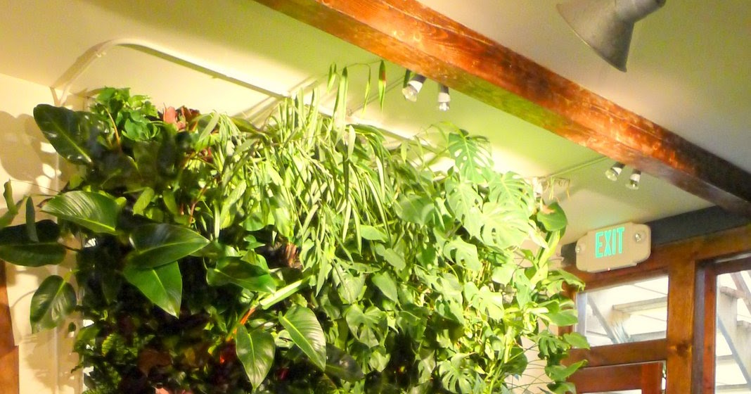 Plants On Walls