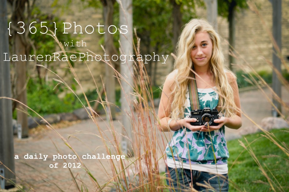 365 Photos with Lauren Rae Photography