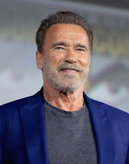 Arnold Schwarzenegger to Star in Spy Series in the Works at Skydance TV