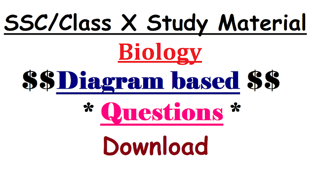 SSC / Class X Study Material Biology Diagram based Questions Download | SSC / Class X Biology Diagram based Questions Bank|SSC Study Material- Bio Science Diagram based Questions Bit Bank-Download | 10th Class Public Examination Study Material Diagram based Questions Bit Bank English Medium | SSC Public Examinations march 2017 Complete Study Material Diagram based Questions Bit Bank very useful to 10th Class Students to score better marks | Download eminent study Material Bio Science Diagram based Questions Bit Bank for English Medium Students ssc-study-material-Bio science-Diagram based Questions bit-bank-downloadSSC / Class X Study Material Biology Diagram based Questions Download | SSC / Class X Biology Diagram based Questions Bank|SSC Study Material- Bio Science Diagram based Questions Bit Bank-Download | 10th Class Public Examination Study Material Diagram based Questions Bit Bank English Medium | SSC Public Examinations march 2017 Complete Study Material Diagram based Questions Bit Bank very useful to 10th Class Students to score better marks | Download eminent study Material Bio Science Diagram based Questions Bit Bank for English Medium Students ssc-study-material-Bio science-Diagram based Questions bit-bank-download