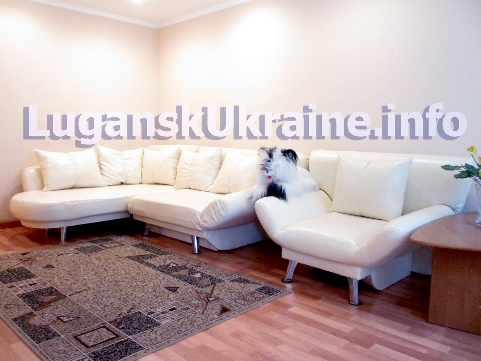 Lugansk Apartments for rent. Lugansk flat rent. Central location