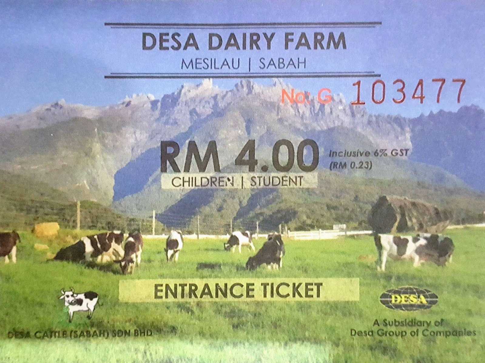 Sabah Trip Desa Dairy Cattle Farm, Kundasang