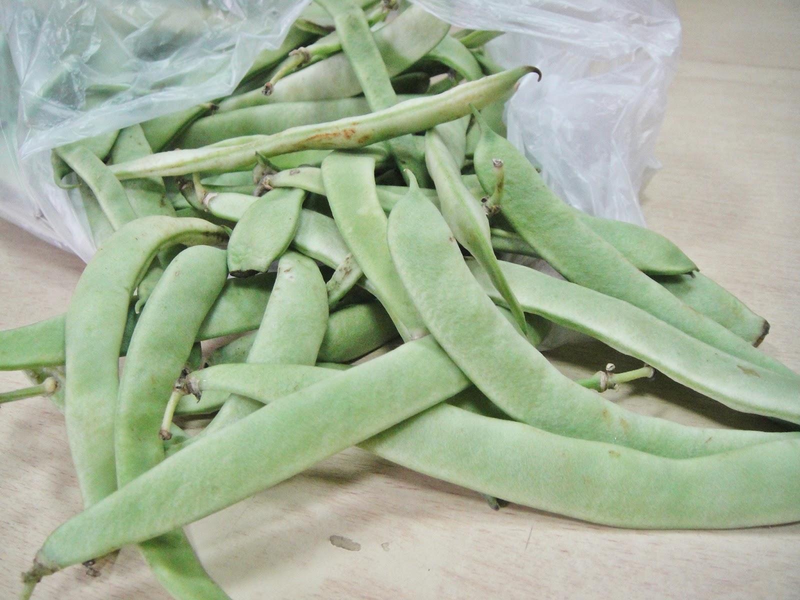 Maryam's Culinary Wonders 880. Green Beans Gremolata