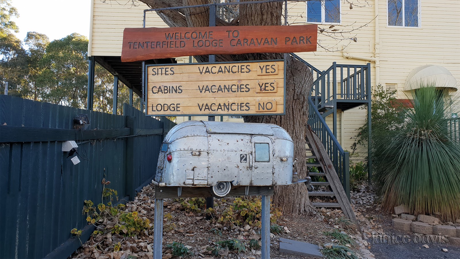 thoughts & happenings Cork Tree in Tenterfield, NSW.