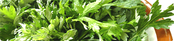 Traditional Japanese Mugwort Yomogi, Wormwood, Artemisia Herb Leaf Tea