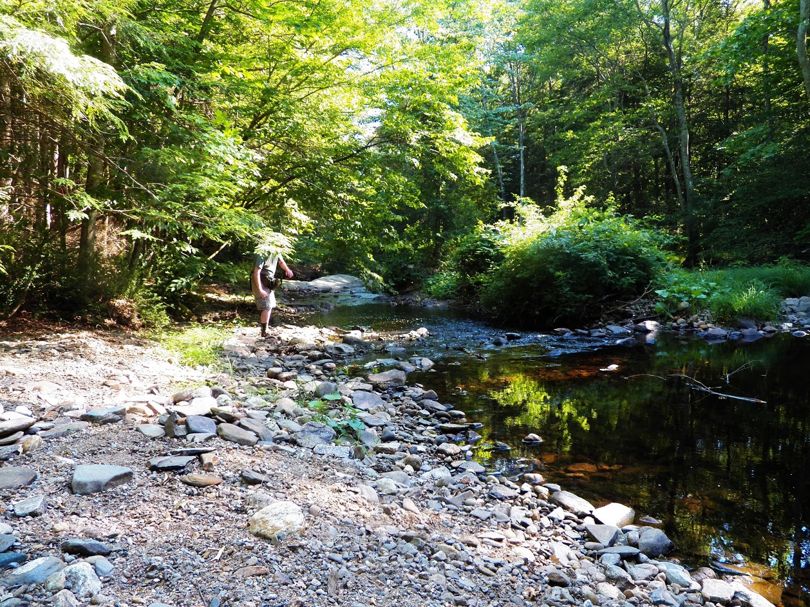 Connecticut Fly Angler My Biggest Wild Brook Trout... So Far