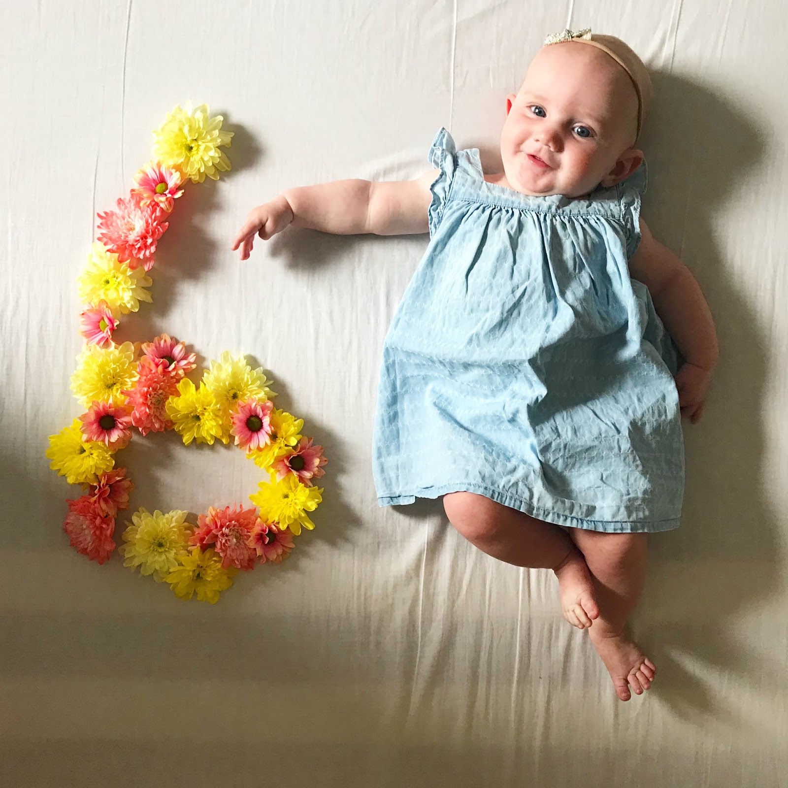 Lilah at Six Months Old | Emily and Indiana