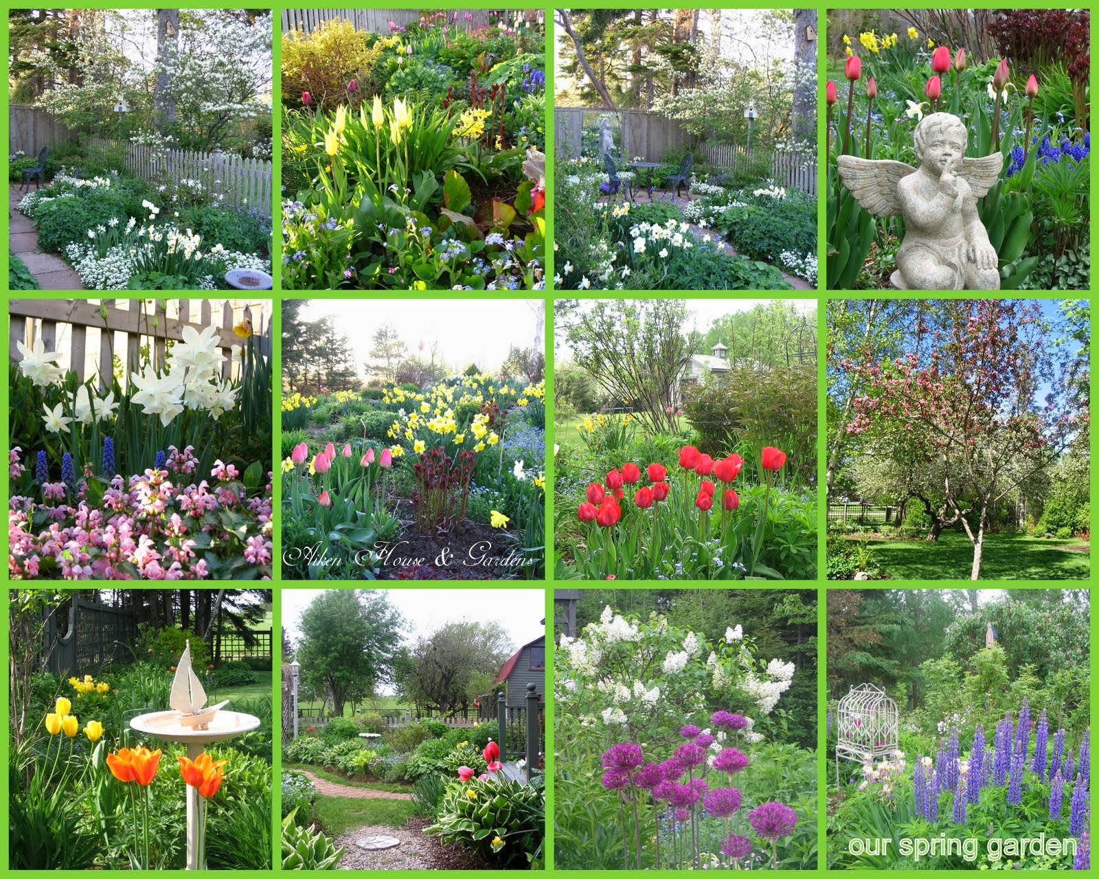 Garden Design журнал. Aiken House and Gardens фото. Aiken House and Gardens пионы фото. Springtime Garden журнал. This our garden