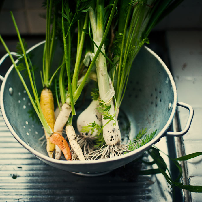10engines bookmark whole larder love