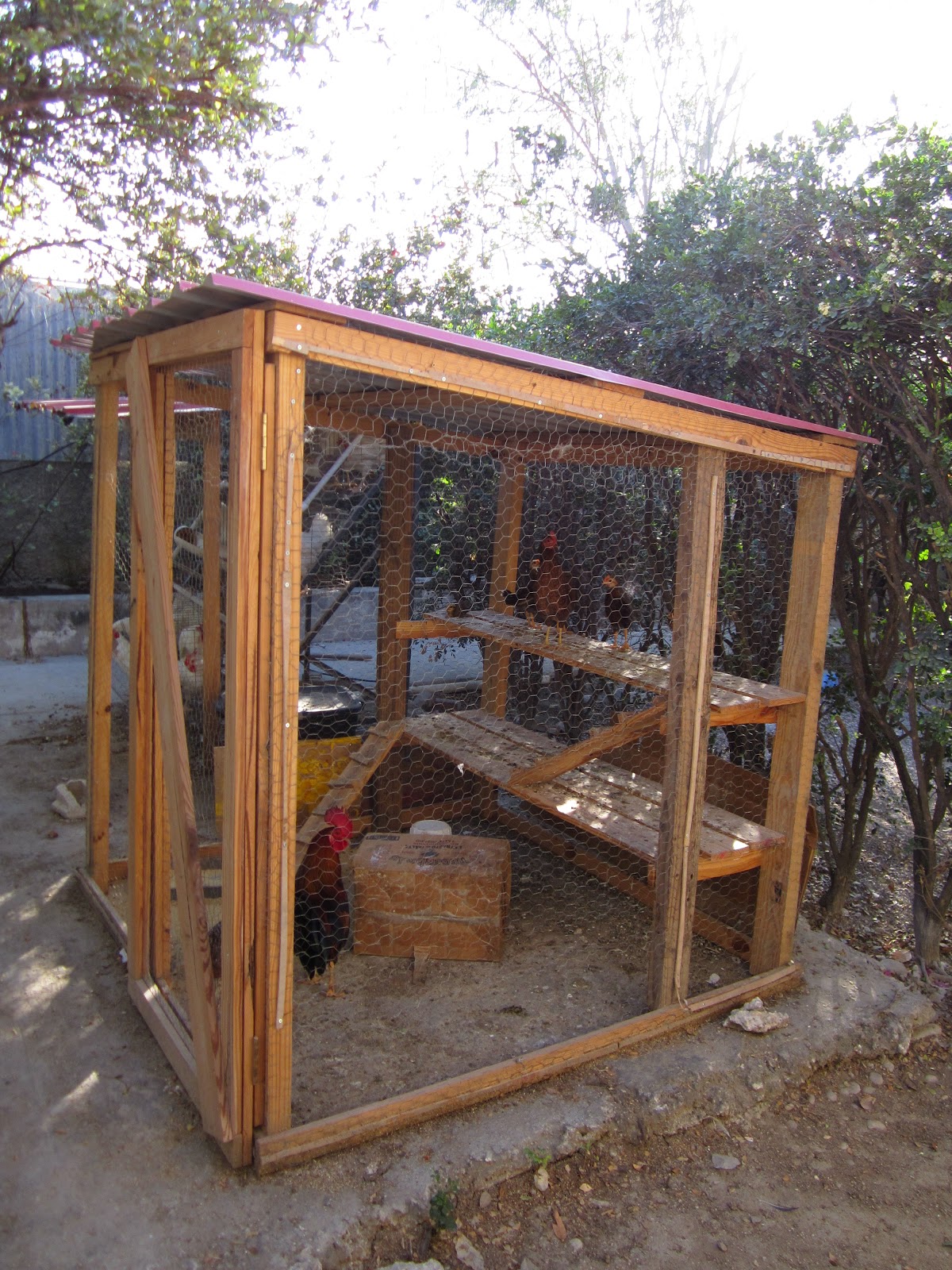 Haiti A.S.A.M. ministries Orphelinat Joie de Vivre