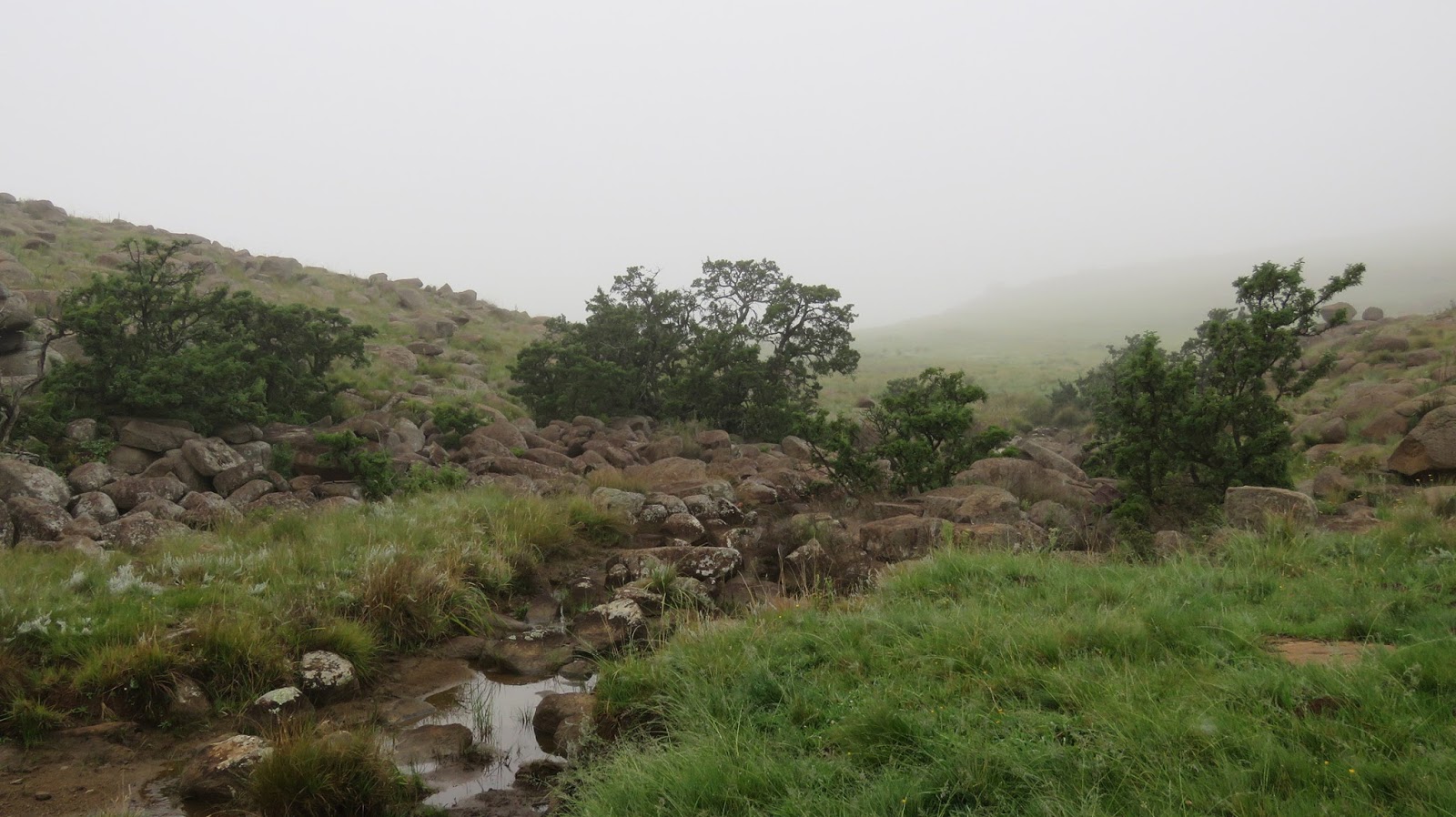 Southern Africa's Ramsar Sites: Pictures from SA - Umgeni Vlei