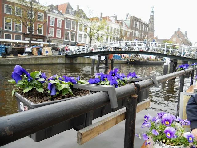 Top places to visit in the Netherlands: purple flowers on a canal boat in Leiden