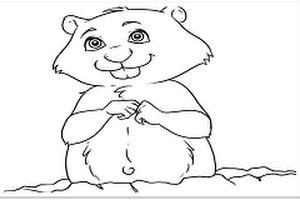 how to draw groundhog cartoon drawing step by step