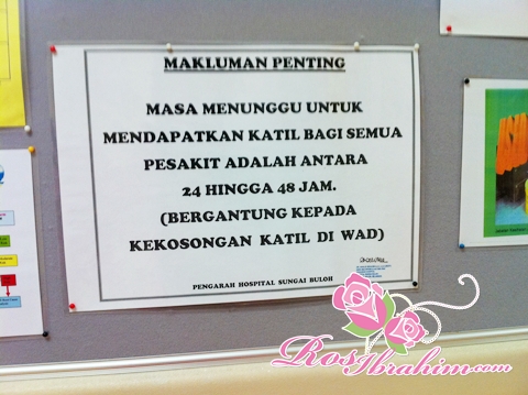 Miaza Kasih Sayang Suatu Enigma Pengalaman Bersalin Anak Ketiga