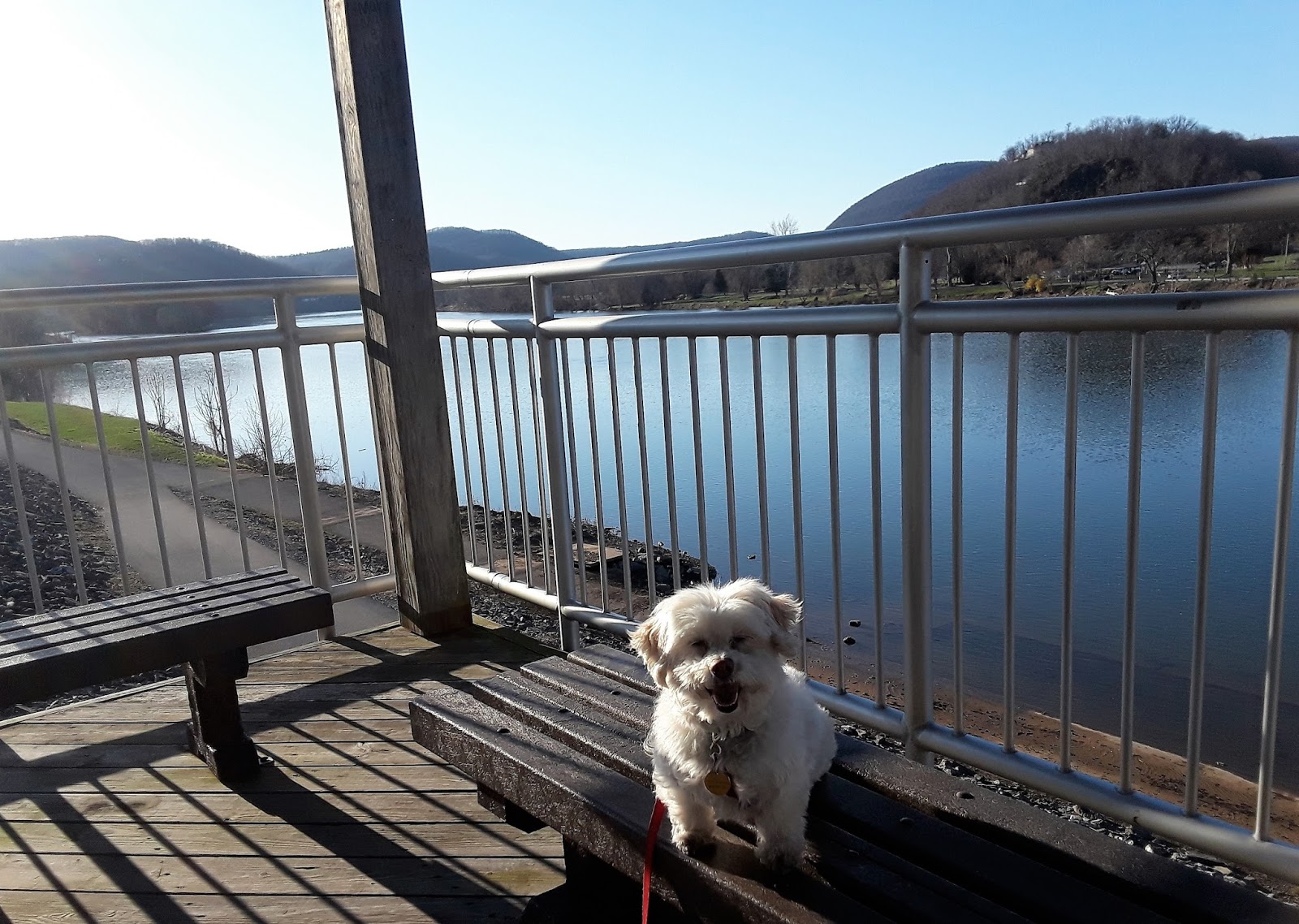 Dogs Luv Us and We Luv Them DOG FRIENDLY RIVER WALK IN PENNSYLVANIA
