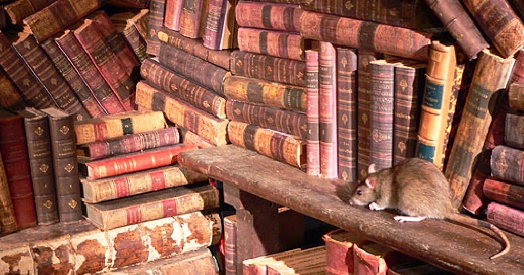 TOUT REGARD CONTE LEON LE RAT DE BIBLIOTHEQUE TOUT REGARD CONTE LEON LE RAT DE BIBLIOTHEQUE