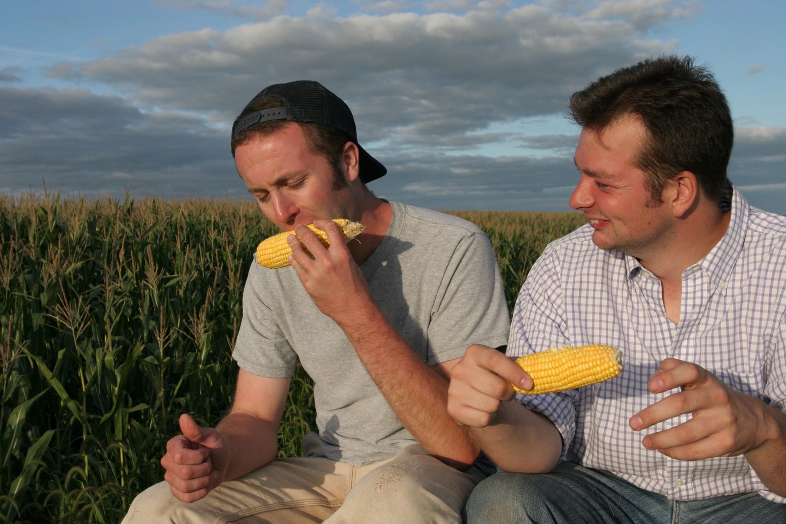 The Knitting Stagehand Documentary Review King Corn