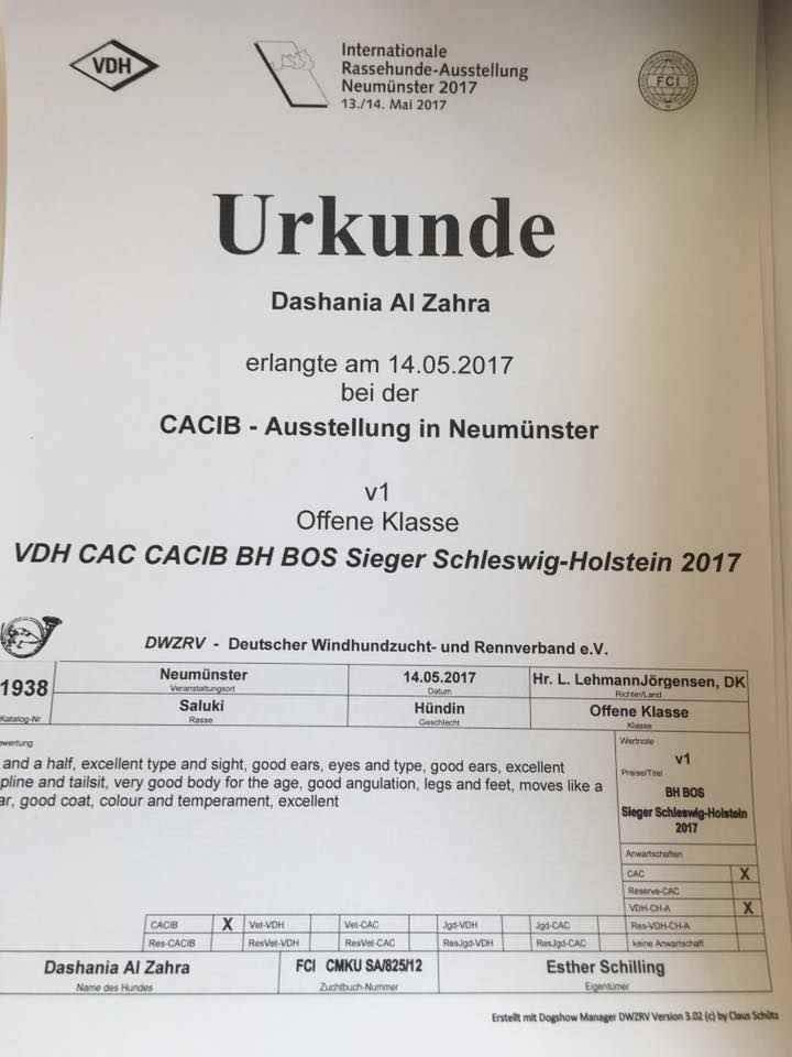 Nunc Hic Page 36 Chan 8720313 Rssing Com