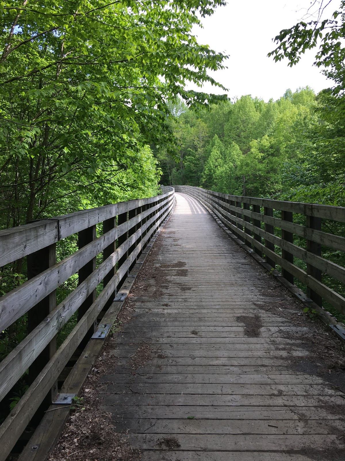 Creeper Trail Bike Rental & Shuttle Beautiful Photos ( Creeper Trail )