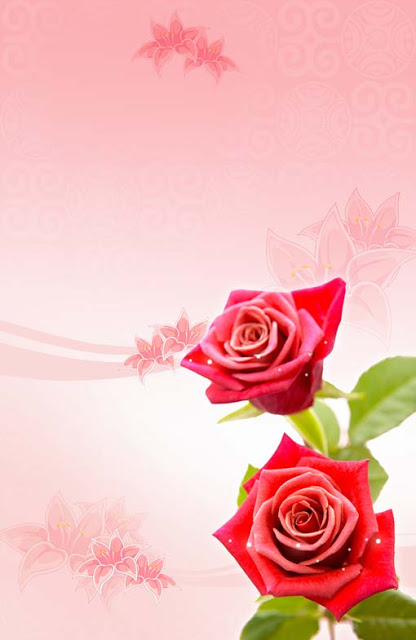 تحميل خلفية اعراس طوليه وردتين حمراء بخلفيه أرجوانيه PSD Two Red Roses vertical Background Design free Download